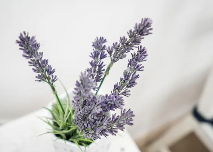 Bpr Shiny Deluxe Apartamento